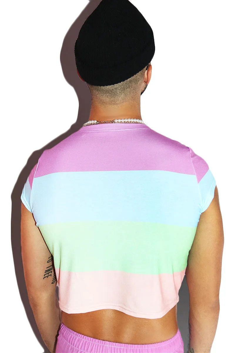 Sorbet Stripe All Over Fitted Crop Tee- Purple