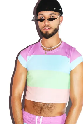 Sorbet Stripe All Over Fitted Crop Tee- Purple