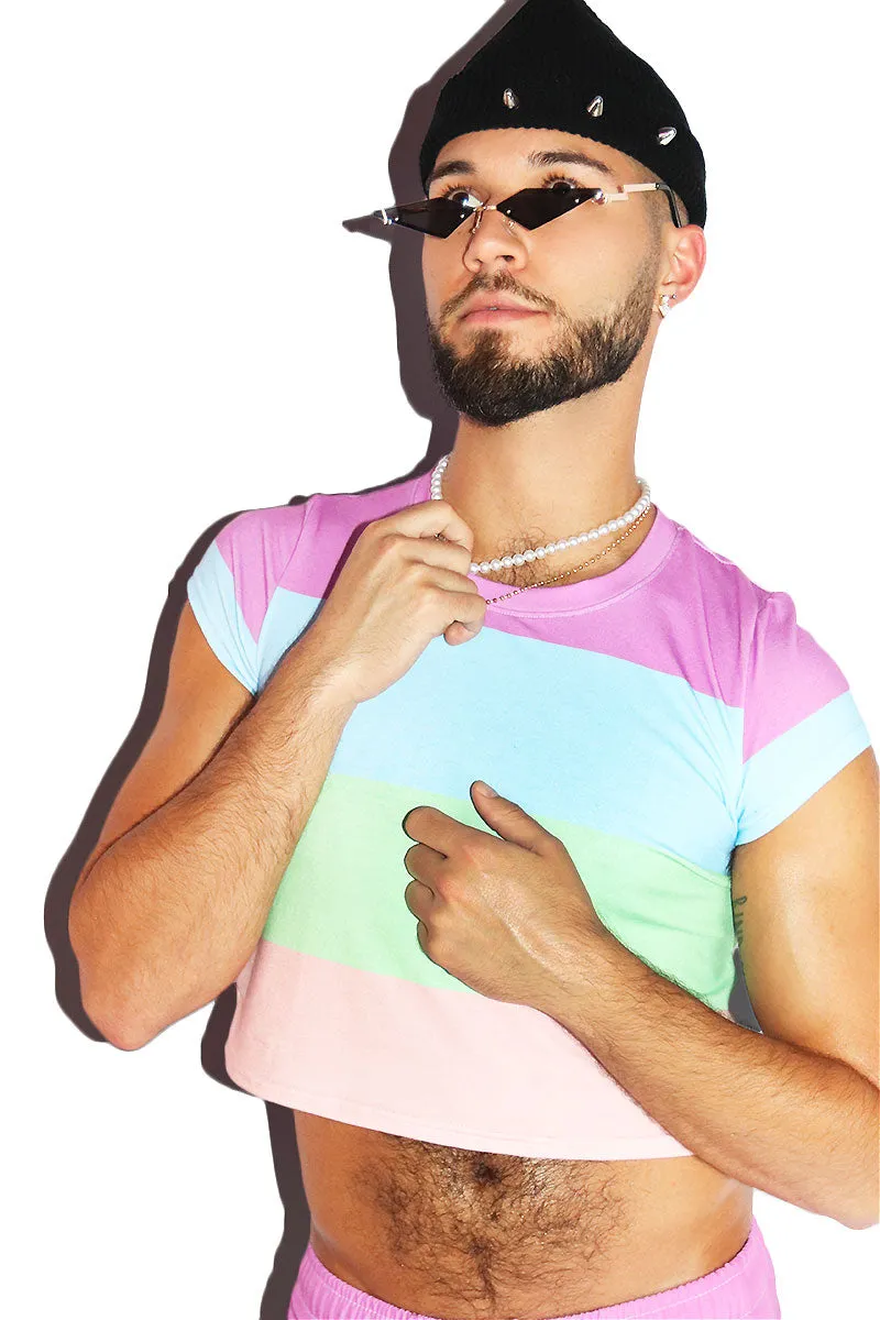Sorbet Stripe All Over Fitted Crop Tee- Purple