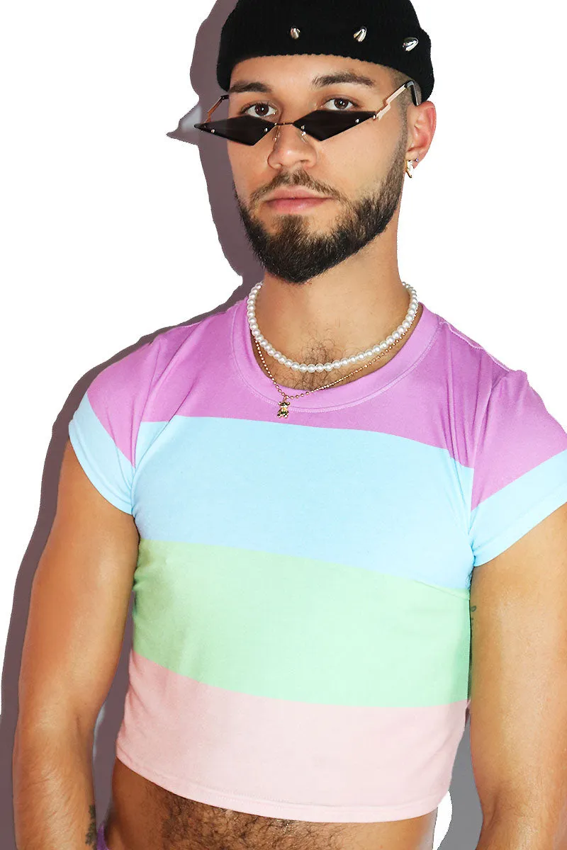 Sorbet Stripe All Over Fitted Crop Tee- Purple